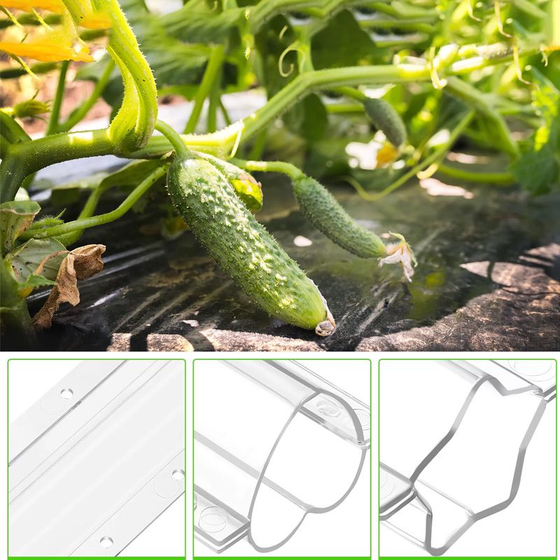 💥Limited time 50% off🔥Cucumber Molds for Garden