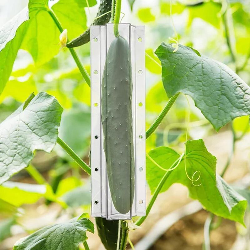 💥Limited time 50% off🔥Cucumber Molds for Garden