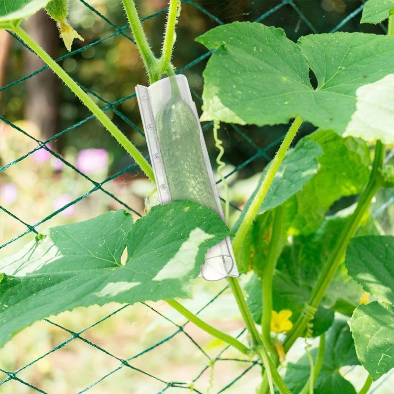 💥Limited time 50% off🔥Cucumber Molds for Garden