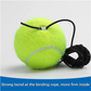 🔥Limited time 50% off🔥Tennis Ball Training Baseboard