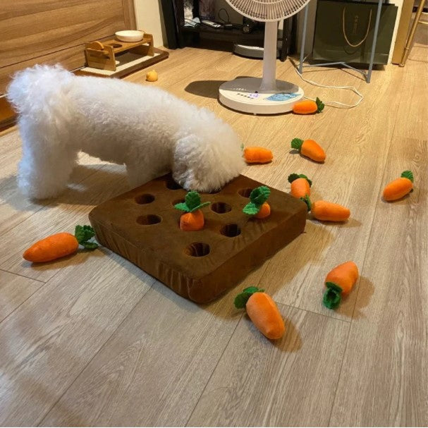 Carrot Garden Toy with Non-Slip Bottom