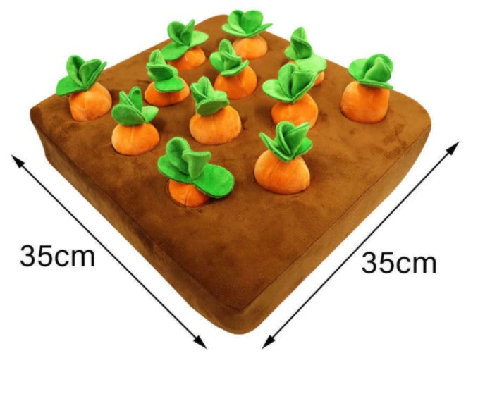 Carrot Garden Toy with Non-Slip Bottom