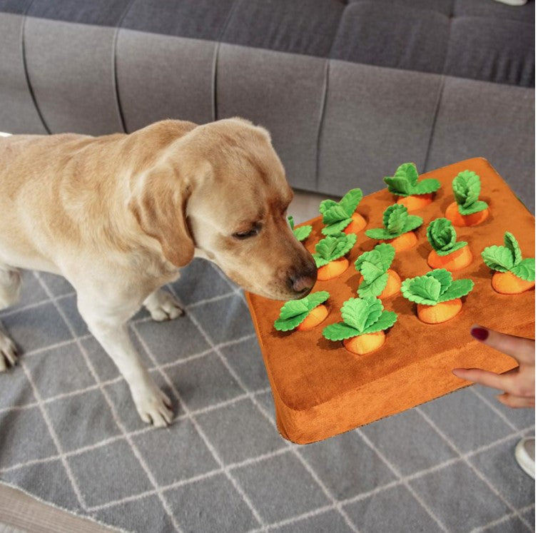 Carrot Garden Toy with Non-Slip Bottom